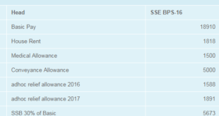 PAY CHART FOR SECONDARY SCHOOL EDUCATORS – SSE BPS-16 for 2017