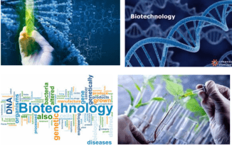 Starting Salary Of Biotechnology In Pakistan, Pay Scale, Benefits