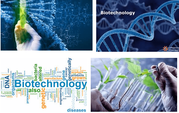 Starting Salary Of Biotechnology In Pakistan
