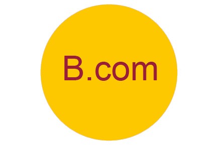 B.Com Salary In Pakistan Or Bachelor Of Commerce Jobs Salary