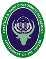 Livestock Department Punjab Salary Salaries In Pakistan