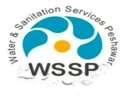 Water And Sanitation Services Peshawar WSSP Salary